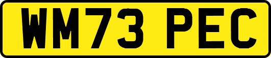 WM73PEC