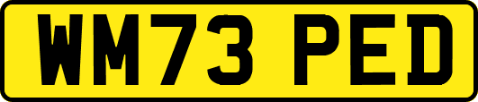 WM73PED