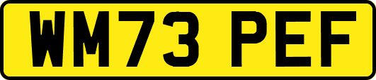 WM73PEF