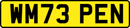 WM73PEN
