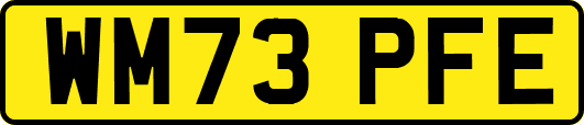 WM73PFE