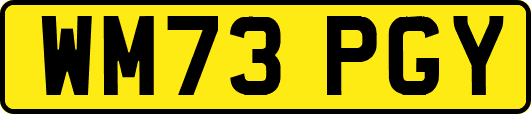 WM73PGY