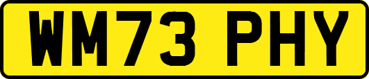 WM73PHY