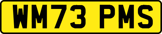 WM73PMS
