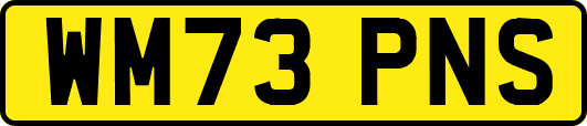 WM73PNS