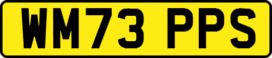 WM73PPS