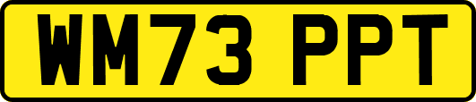 WM73PPT