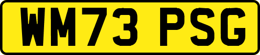 WM73PSG