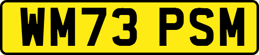 WM73PSM