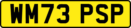 WM73PSP