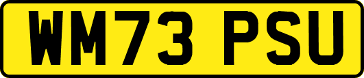 WM73PSU