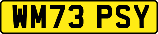 WM73PSY