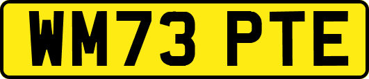 WM73PTE