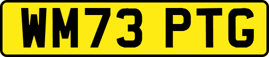 WM73PTG