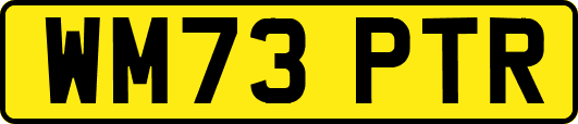WM73PTR