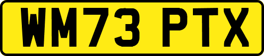 WM73PTX