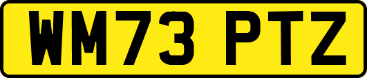 WM73PTZ
