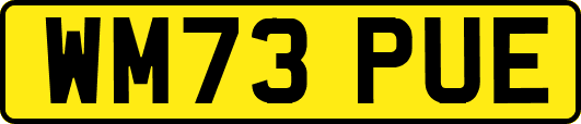 WM73PUE