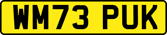 WM73PUK