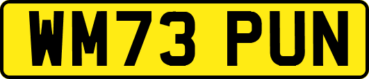 WM73PUN