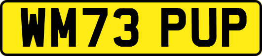 WM73PUP