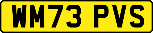 WM73PVS