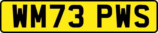 WM73PWS