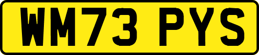 WM73PYS