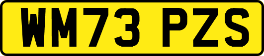 WM73PZS