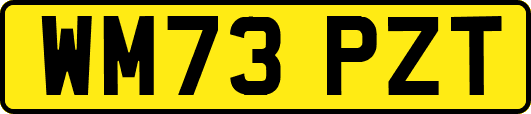WM73PZT