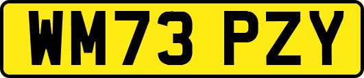 WM73PZY