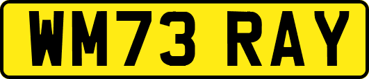 WM73RAY
