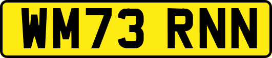 WM73RNN