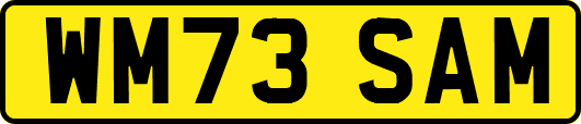WM73SAM