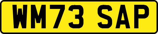 WM73SAP