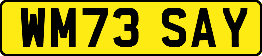 WM73SAY