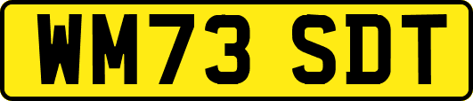 WM73SDT