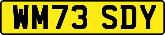 WM73SDY