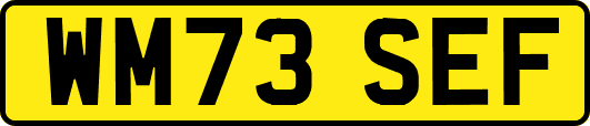 WM73SEF