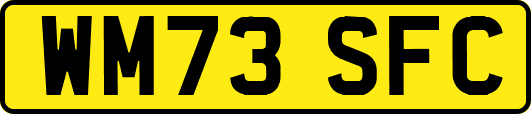 WM73SFC