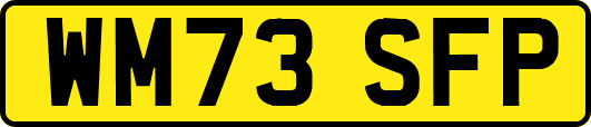 WM73SFP