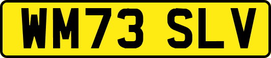 WM73SLV