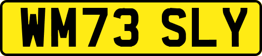 WM73SLY