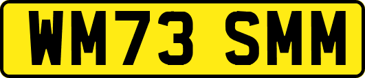 WM73SMM