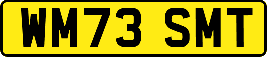 WM73SMT