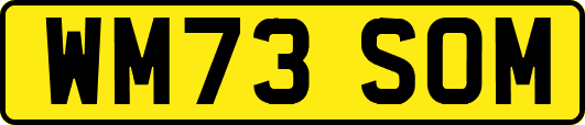 WM73SOM