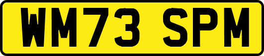 WM73SPM