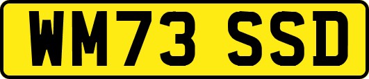WM73SSD