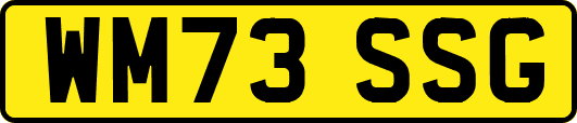 WM73SSG