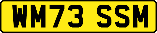 WM73SSM